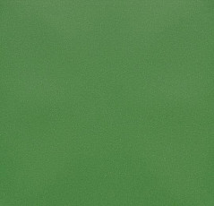 Линолеум Forbo Eternal Colour 40642 apple фото 1 | FLOORDEALER